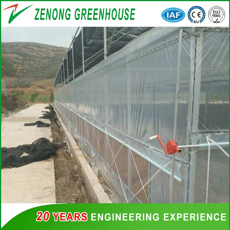 Multi-Span Intelligent Poly Tunnel Greenhouse Covered with Po Film for Cultivation/Exhibition/Experiment/Eco Park