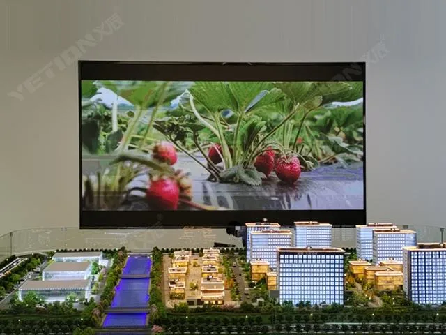 LED Video Advertising Fws Cardboard, Wooden Carton, Flight Case Indoor Full Color Screen Display