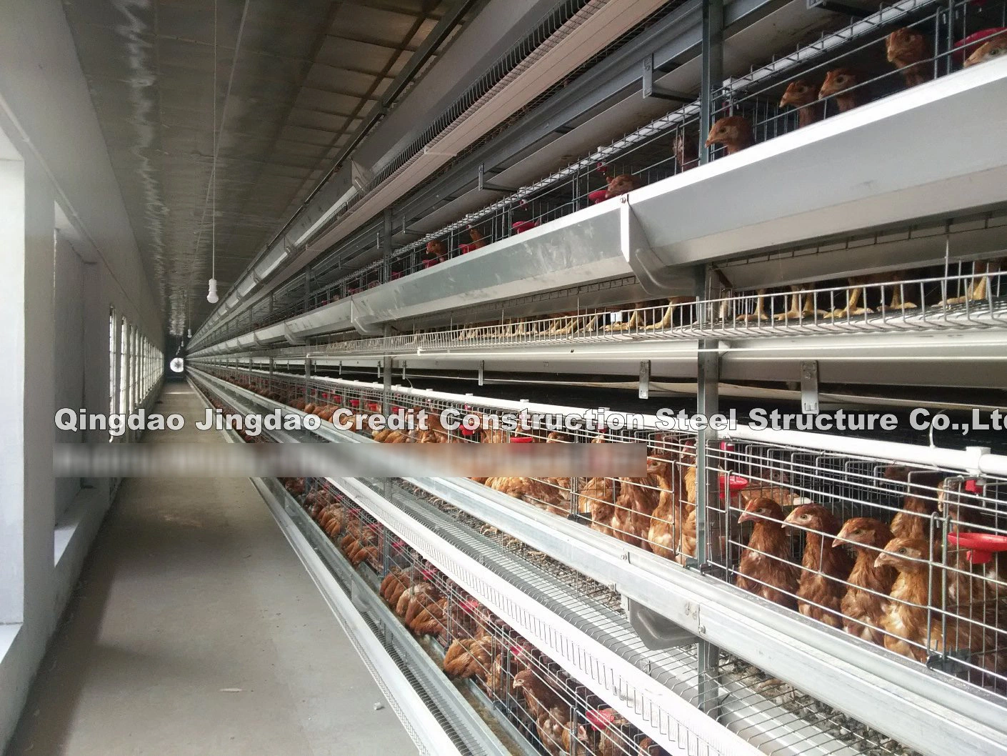 World Amazing Modern Eight-Layer Poultry Equipment Poultry House Chicken Farm Broiler House Egg Layer House