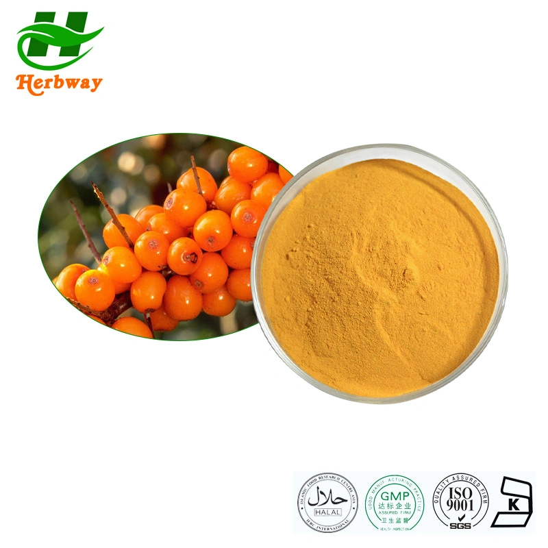 Botanical Plant Sea Buckthorn Fruit Extract Flavones Hippophae Rhamnoides Extract