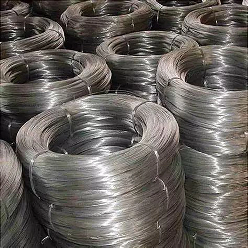 Q195 SAE1006 SAE1008 Low Carbon Steel Ms Wire Rod ASTM GB JIS DIN AISI BS Low Corban Steel Wire Supplier 1mm 2mm 3mm 4mm Spring Steel Rod/Wire