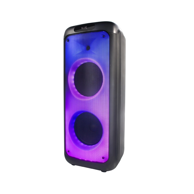 TMS-1035 Temeisheng Distributor Dual 10 Zoll FM Audio Bluetooth DJ A-like Portable Partybox Lautsprecher