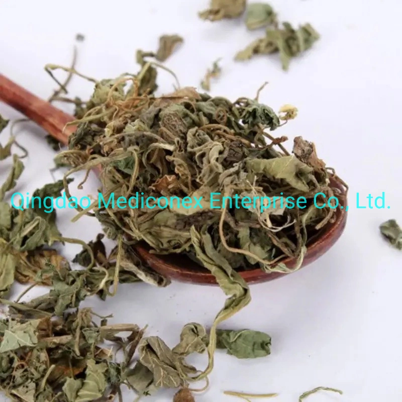 Viola Yedoensis Natural Herb with Root Herbal Medicine Clear Heat Virus Toxic