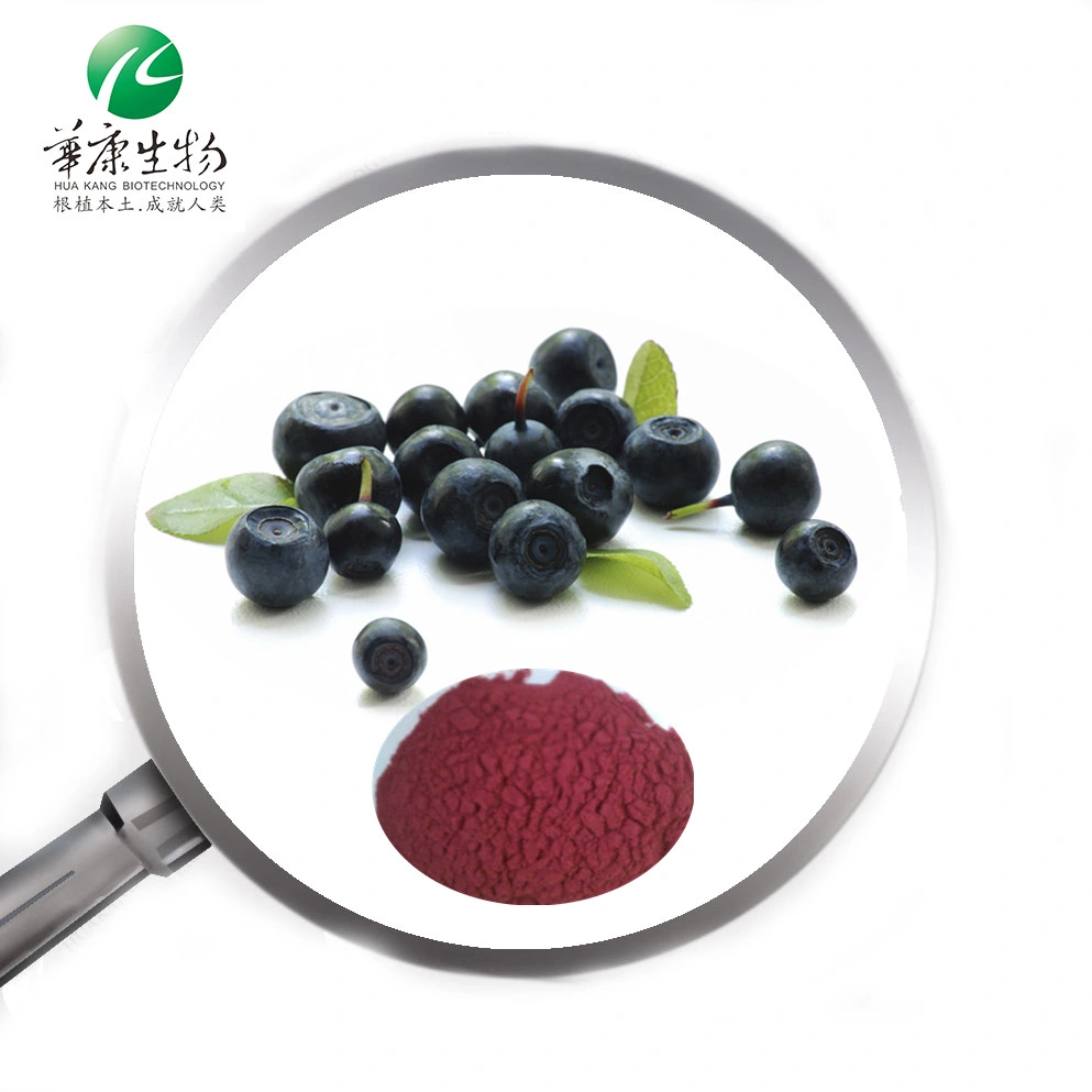 Organic Natural Acai Berry Fruit Pure Acai Berry Extract Powder Anthocyanidins Concentrate Juice Powder