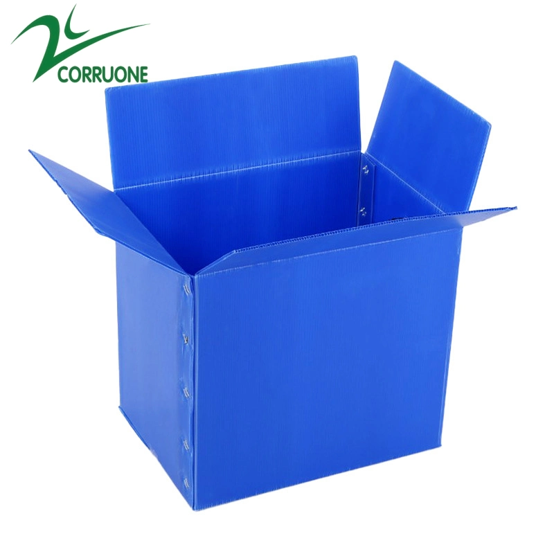 Foldabe Customized PP Corrugated Boxes PP Hollow Sheet