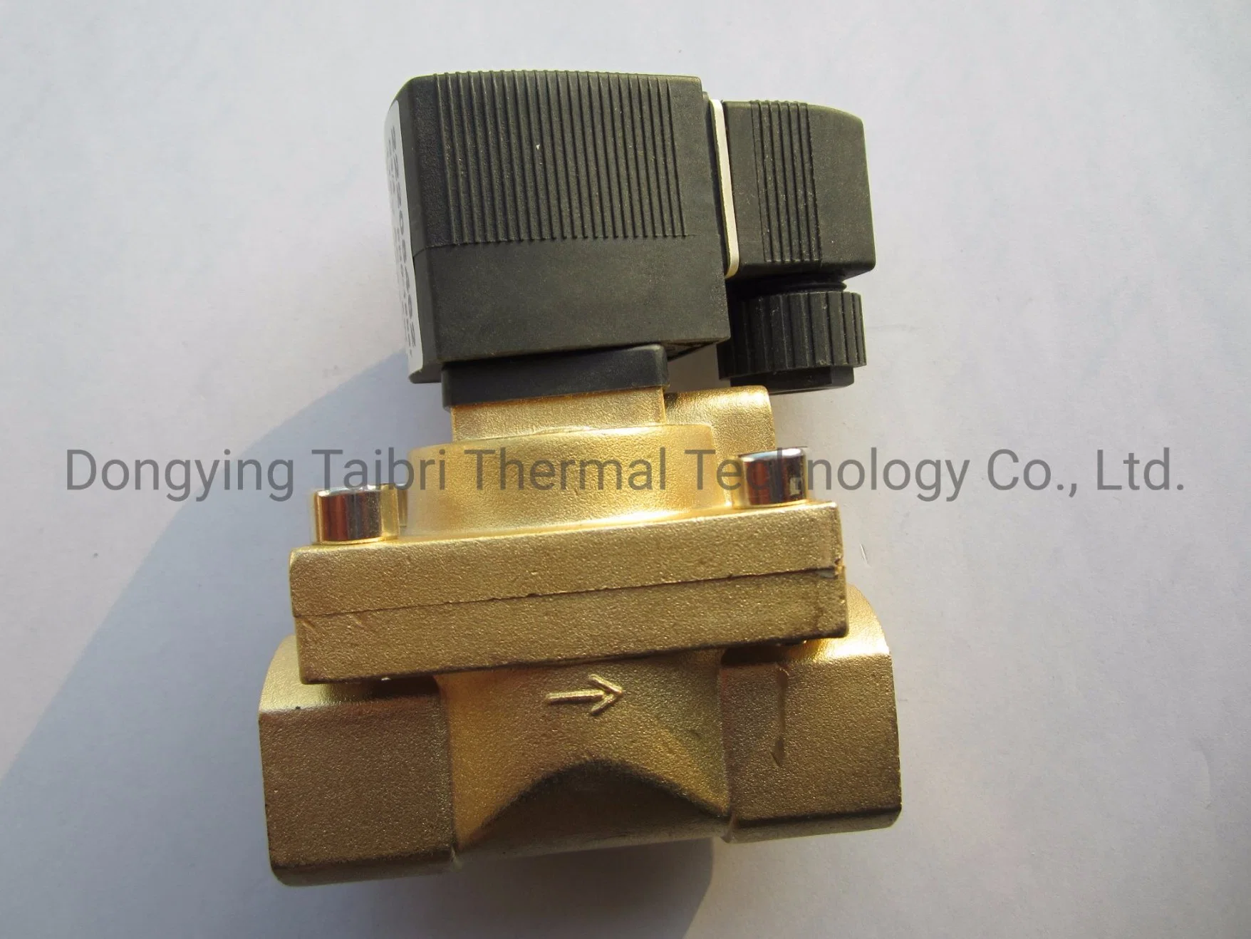 Normally Closed Solenoid Valve Water Valve, Fully Enclosed Coil, AC220V G1/2 Inch The Electromagnetic Valve Plastic Sealing Coil