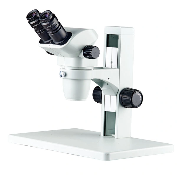 St8050t-B8ls Stereo Zoom Microscope