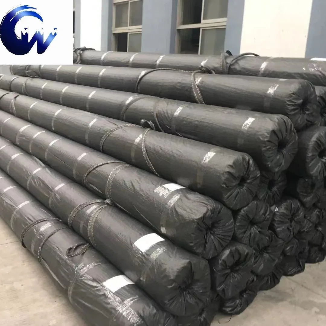 Building Material Chemical Plastic Geogrid Composite Geotextile