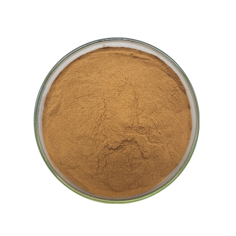 Hot Sale Healthy Food Plant 3% Schisandrins Schisandra Berry Extract Powder