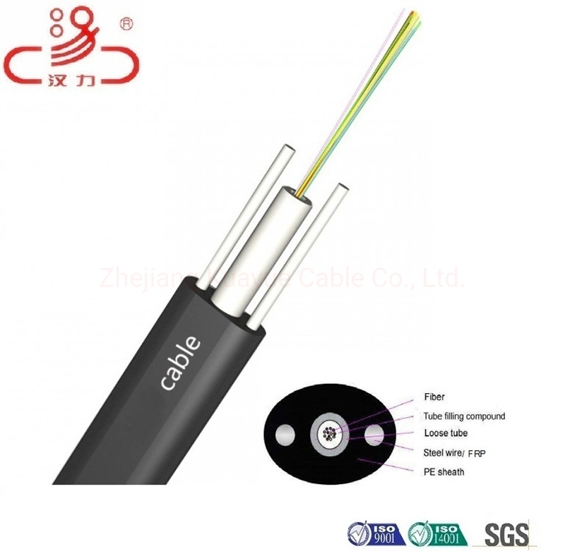 Sample Customization Single Mode Fiber Optical Cable GYFTY Optical Fiber Micro Cable