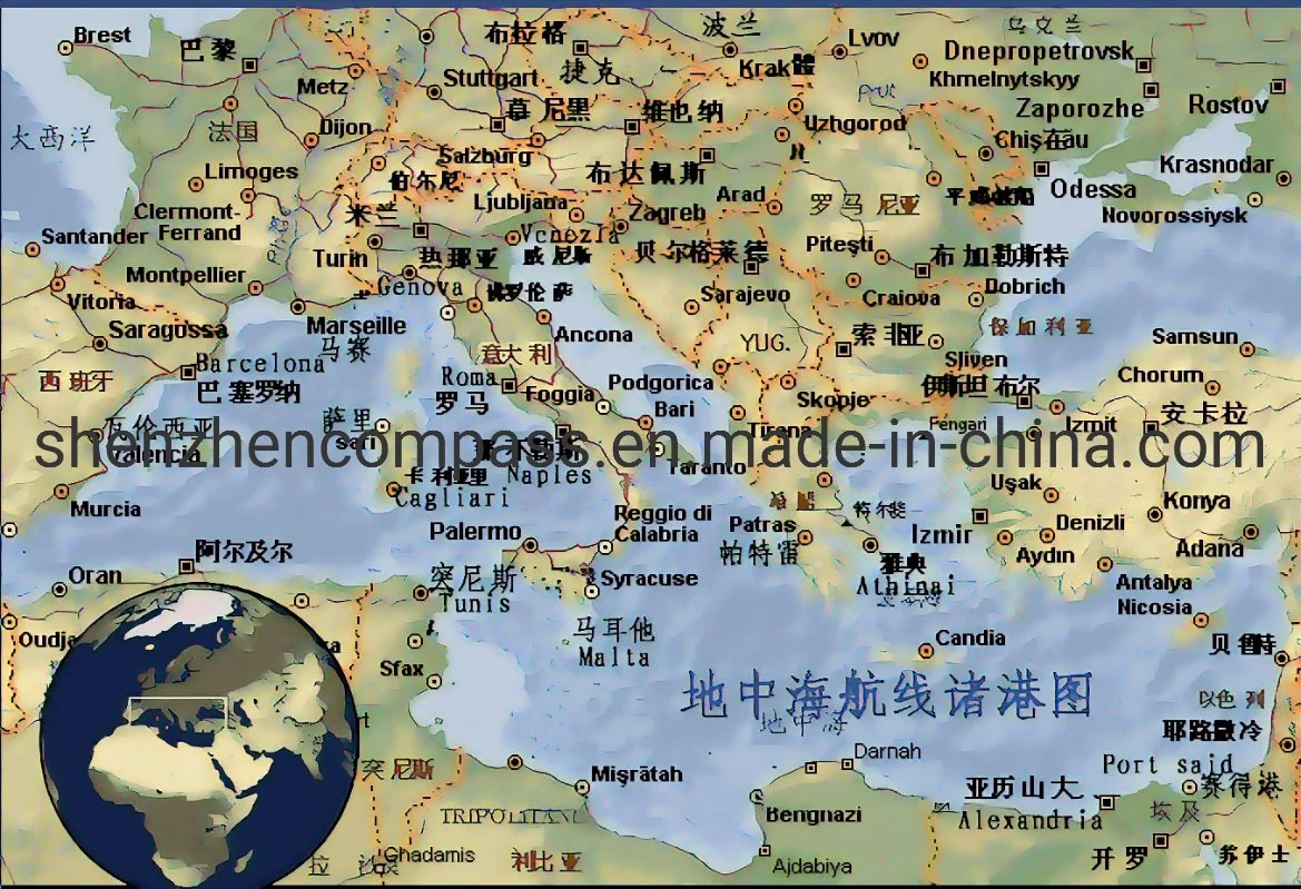 Companhia de Envio de qualquer Porto da China Tianjin/Qingdao/Xangai/Ningbo/Shenzhen/Guangzhou/Xiamen/Yiwu/Freight to Alexandria/Damietta/Port disse o Egito