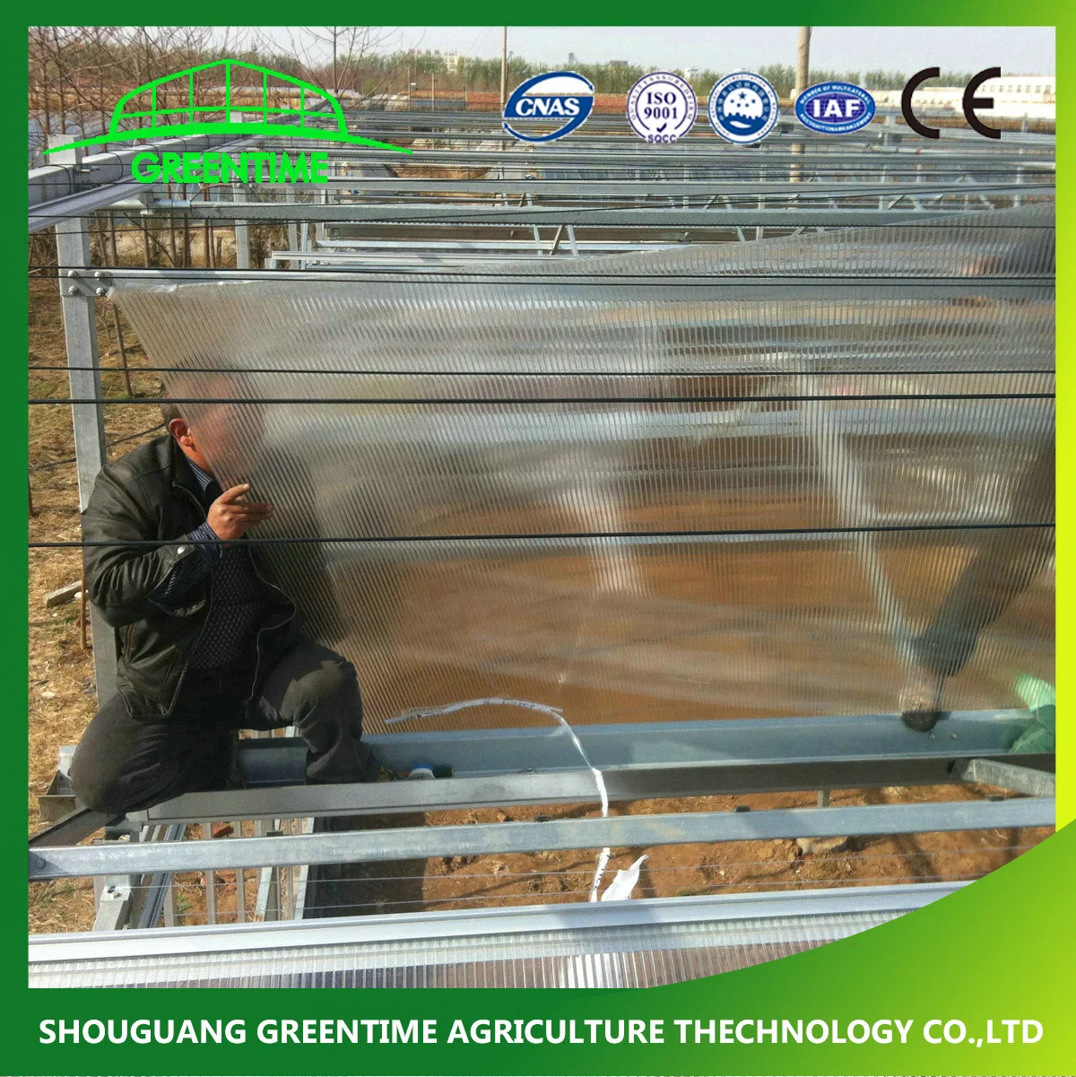 Hot Sale Commercial Polycarbonate Panels Hydroponic Greenhouse for Tomato