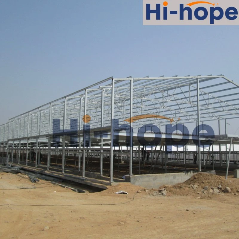 Poultry Farm Steel Structure Building for Sale