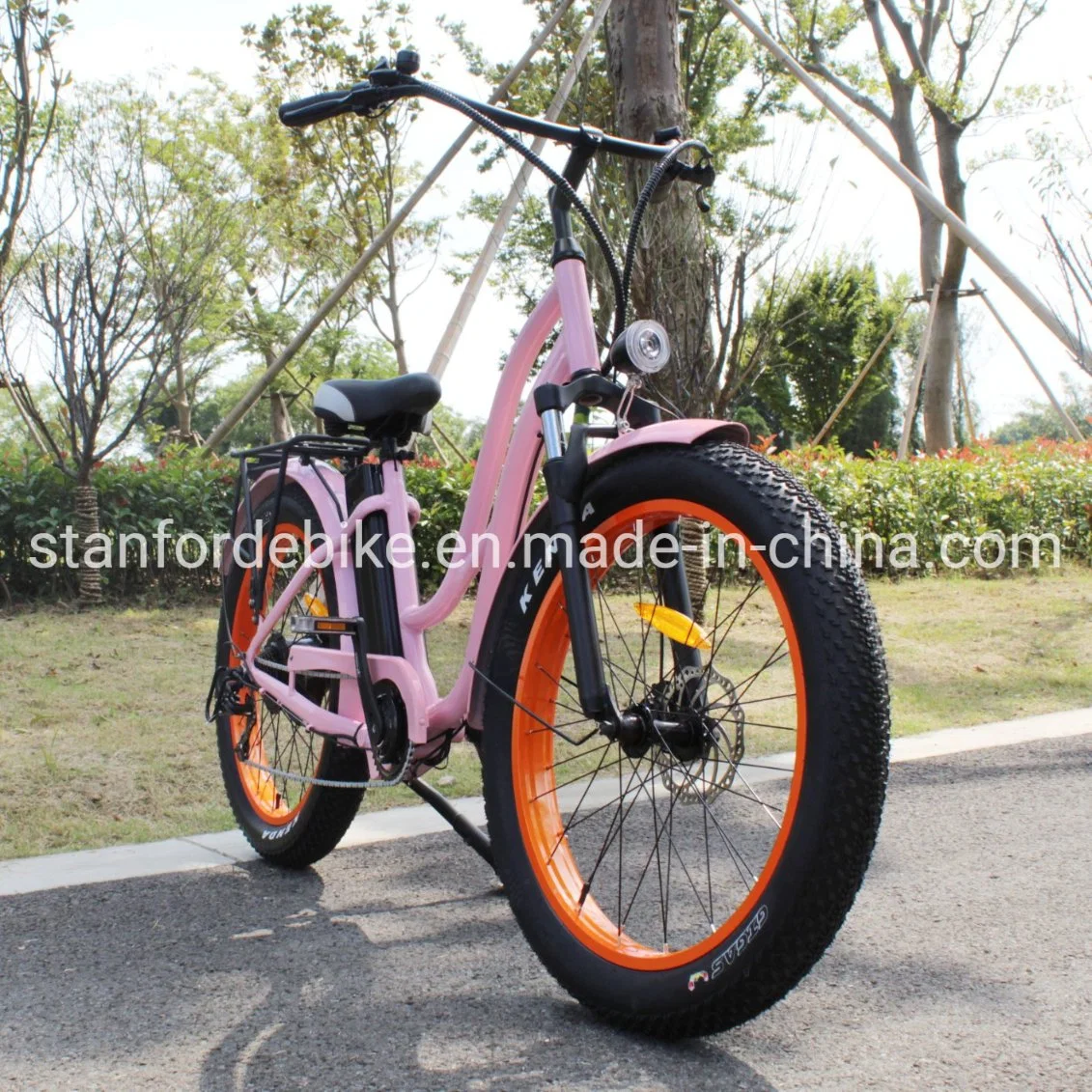 Greenpedel Wholesale/Supplier CE Certification Retro Electric Bike Ebike Bicycle