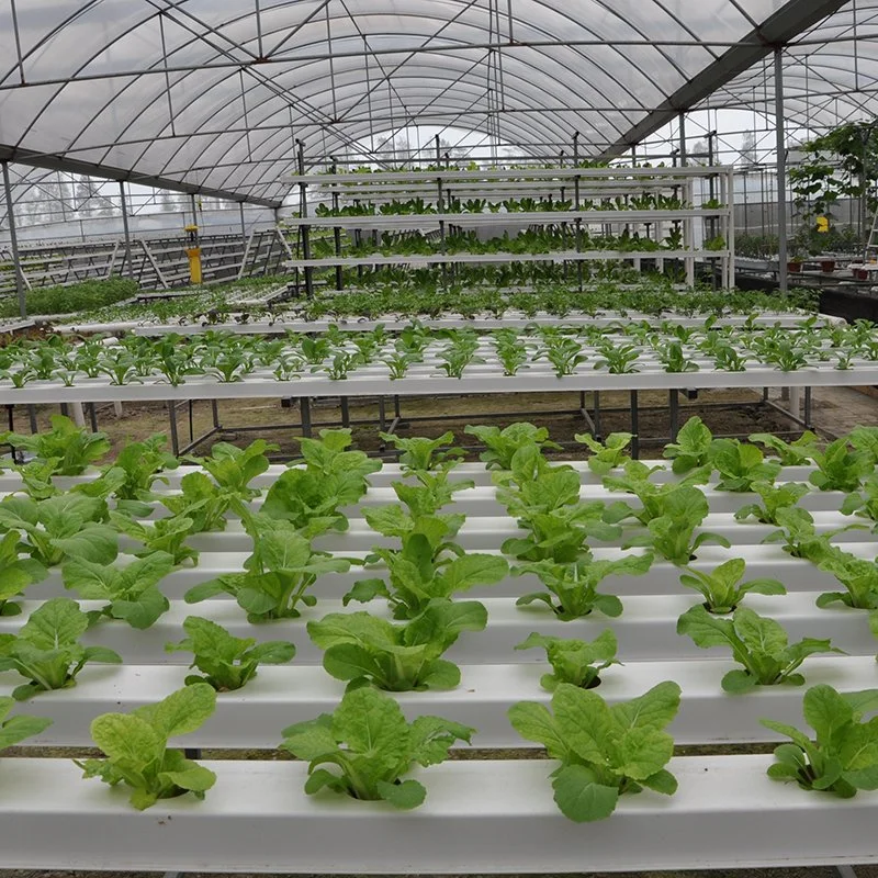 100*50mm Rechteckiges PVC NFT Kanal Landwirtschaft Vertikal ein NFT hydroponic System Vergrößern