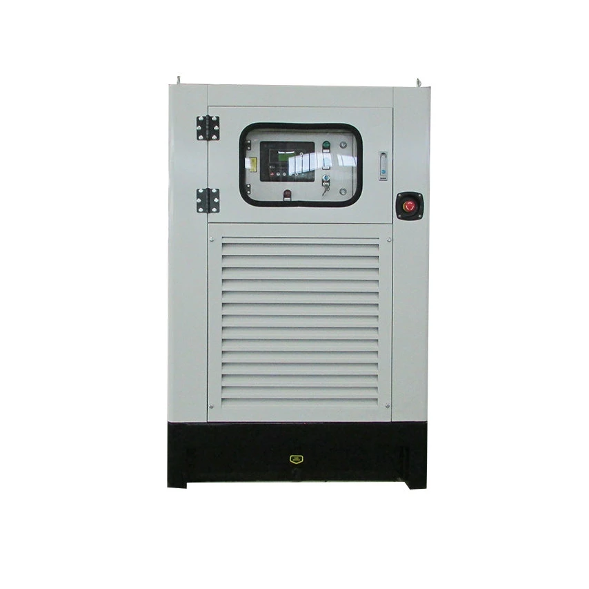 Environmental Protection Natural Gas Generator Set Best Price for Sale