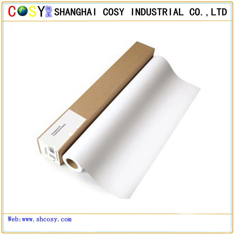 Indoor Digital Printing Material PP Synthetic Paper