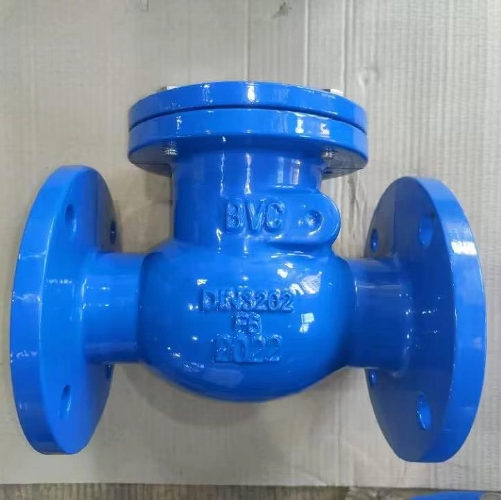 DN65 Pn16 Di Body DIN Pn16 Flanged Ends Non Return Valve for Sewage Pipe