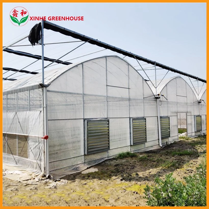 Good Price Customized Production Garden Plastic Film Greenhouse