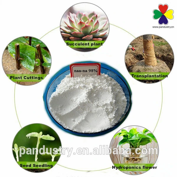 Número EINECS 200-504-2 Soluble en agua con la hormona de la planta Na-Naa 98%TC