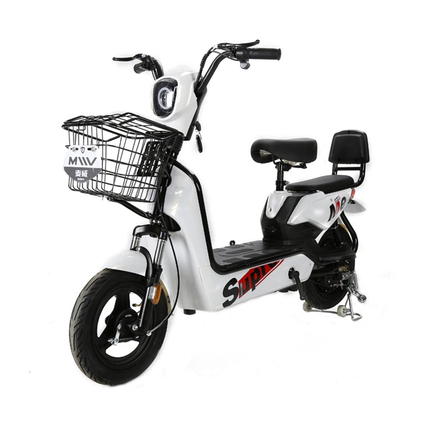 New Model 14 Inch Fat Tire E Bike 48V 350W Electric Bike Bicycle