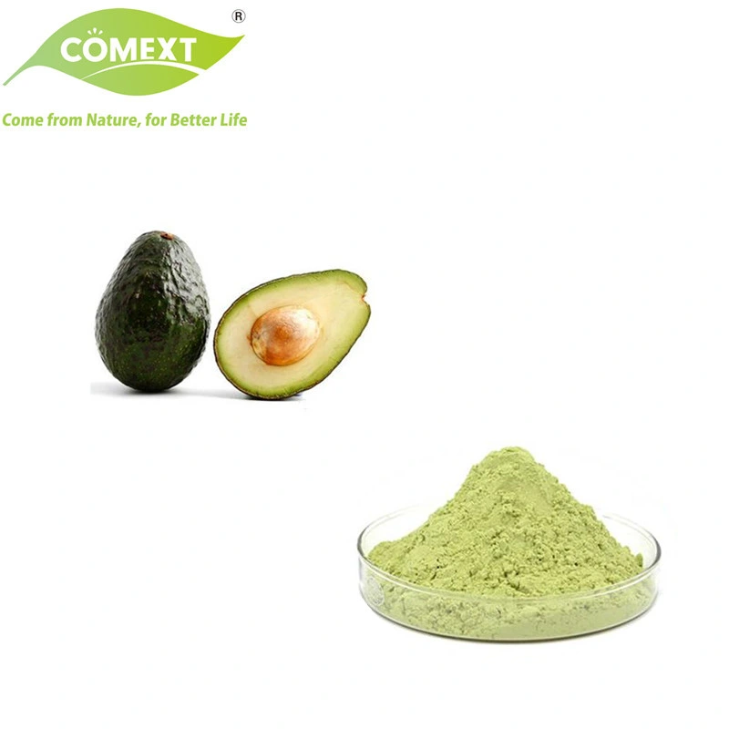 Comext Food Grade Skin Whitening humectar Cosméticos Alimentos Aditivos Aguacate Extracto de polvo de jugo