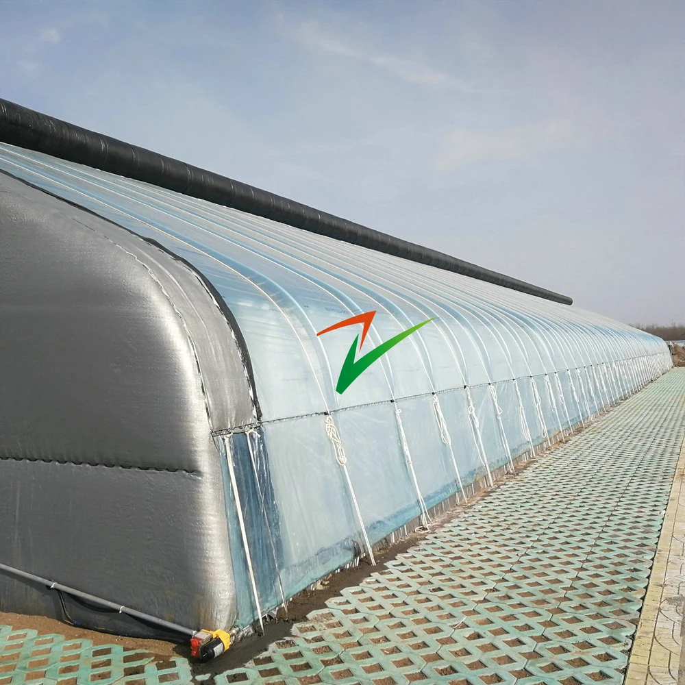 New Type Energy Saving Single Span Film Greenhouse with Intelligent System for Agricultural