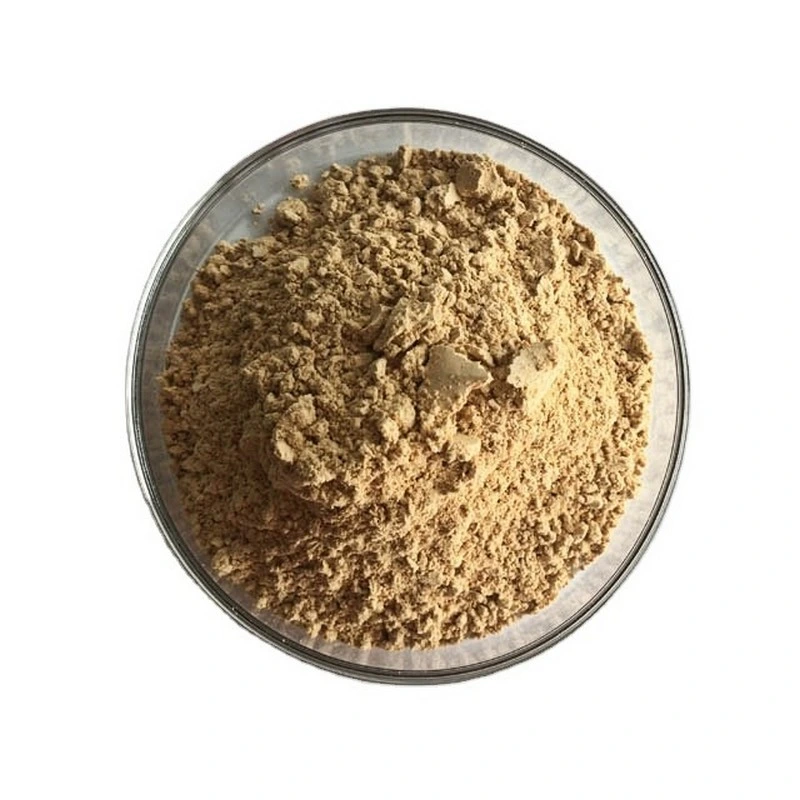 Turkey Tail Extract Powder Healthcare Food Plant Extract Products