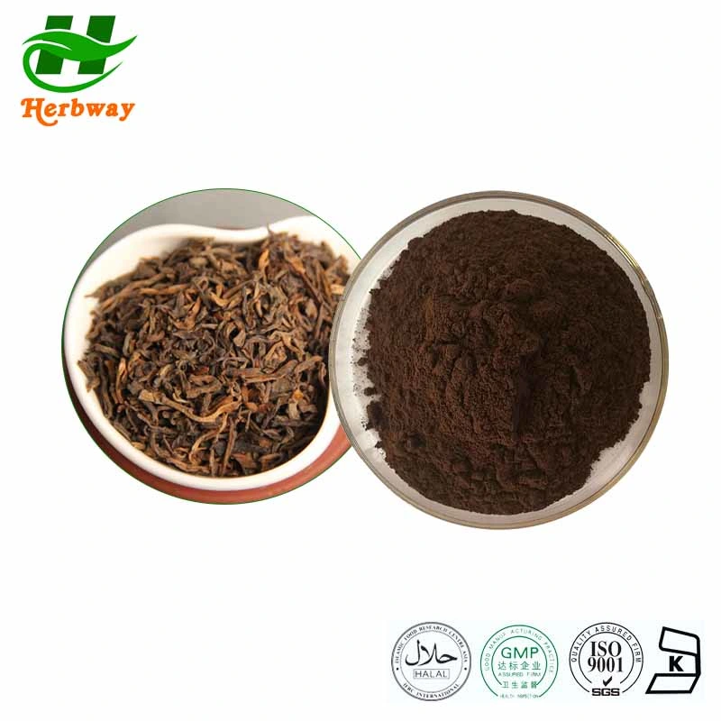 Herbway Kosher Halal Fsc HACCP معتمد من قبل Thiaflavin Camellia Sinensis Var. مستخرج شاي أساميكا بير