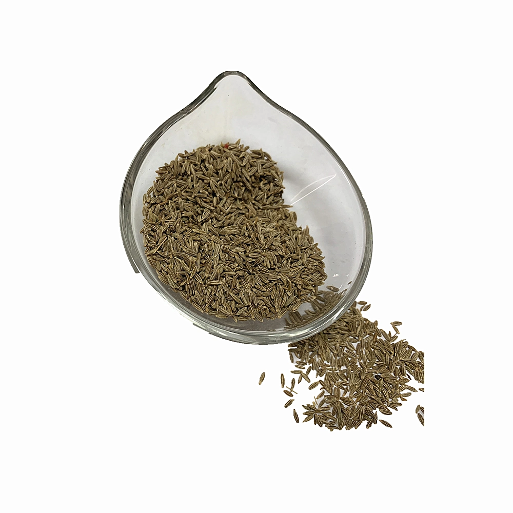 Wholesale/Supplier Premium Quality Cumin Seeds Single Spices