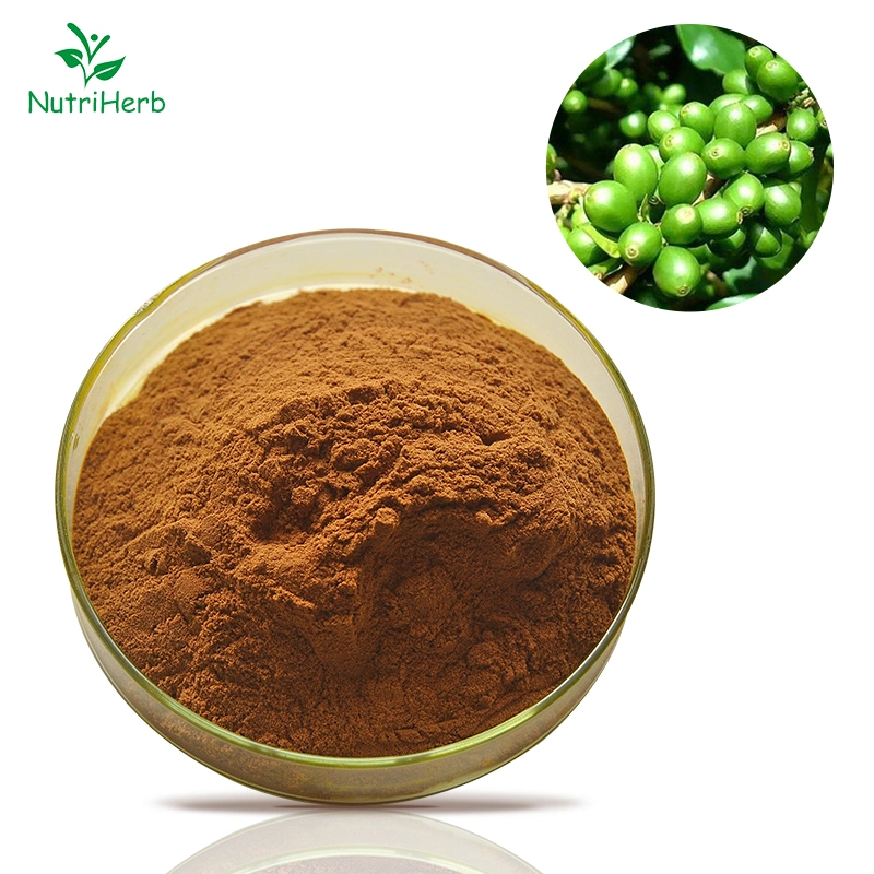 Factory Supply Green Coffee Extract Green Coffee Bean 10-50% Chlorogenic Acid
