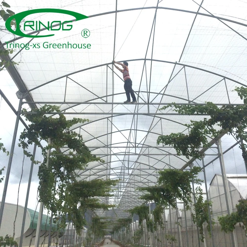 Gutter Connected poly Film Greenhouse near me for Seeding