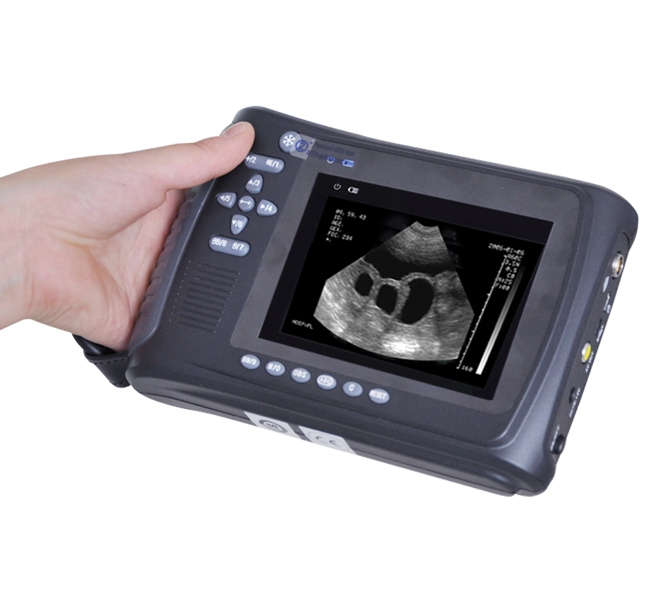 Medical Equipment Veterinary Handheld Ultrasound Scanner Pl-2018V