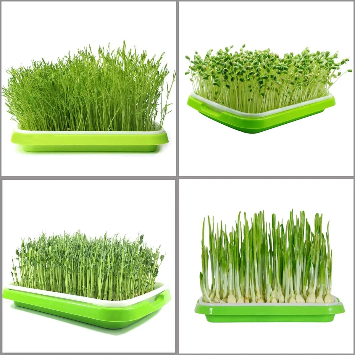 Eed Sprouter Tray 5 Pack, BPA Free Nursery Tray Seed Germination Tray Healthy Wheatgrass Seeds Grower & Storage Trays for Garden Home Office