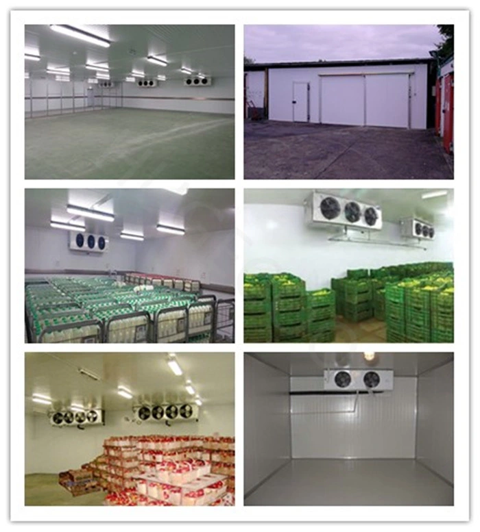 PU Panel Food Cold Storage Room for Chiller and Freezer