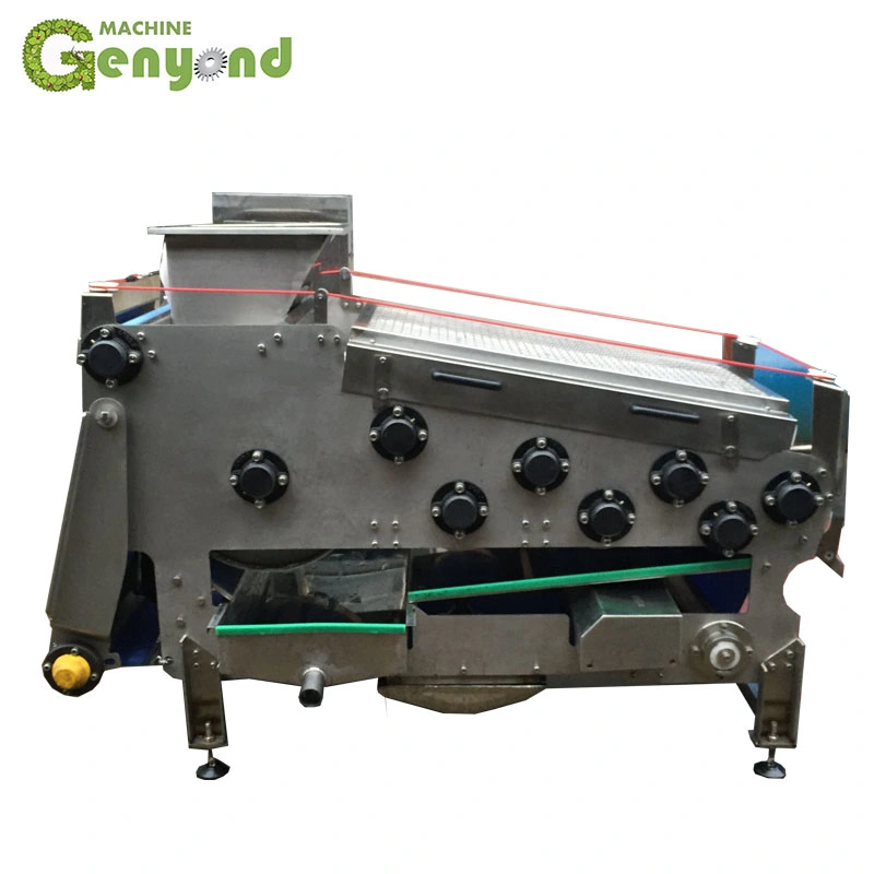 Cold Press Belt Fruit Extractor Machine