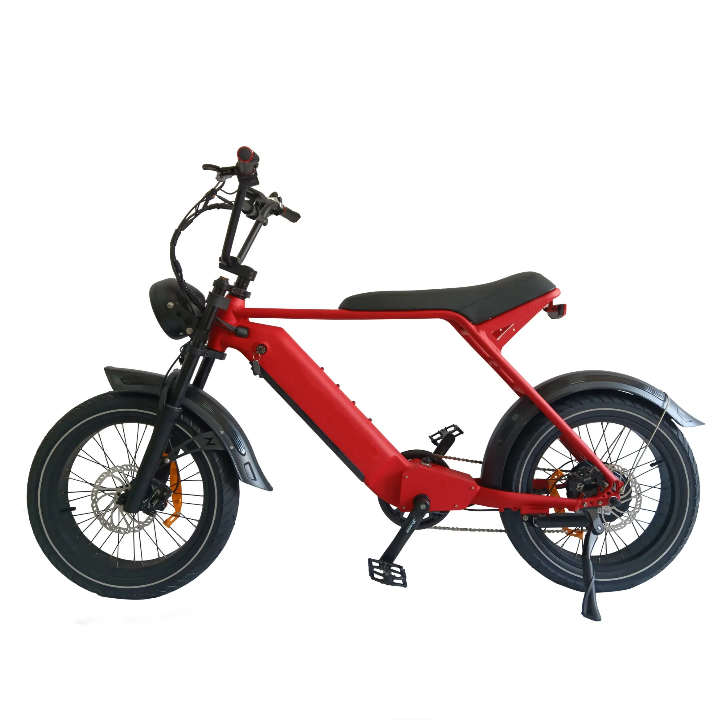 Queene heißer Verkauf CE Aluminiumlegierung Rahmen eBike 48V 1000W 20 Zoll Elektro-Fahrrad