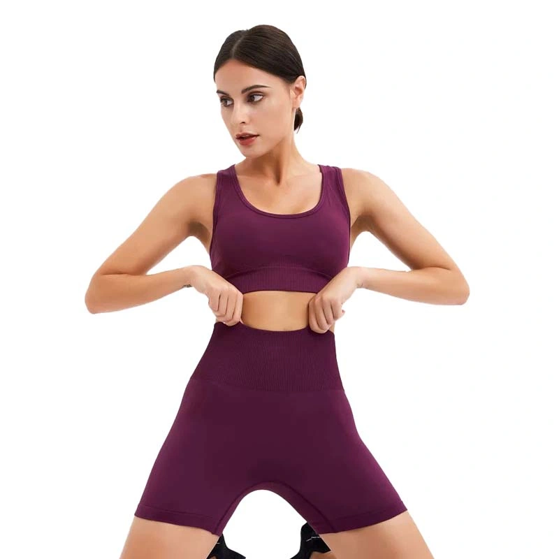 Wholesale/Supplier Women Seamless OEM ODM Fitness Wear Casual Sports Wear 2 Piece Workout Set Racer Back Bra with Shorts Gym Yoga Clothing Fitnesswear