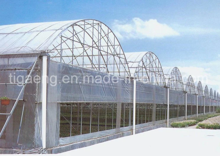 Cheap High quality/High cost performance  Light Steel Structure Prefabricated Greenhouse