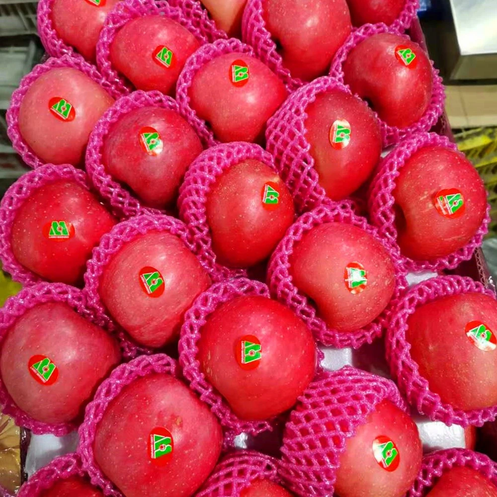 High quality/High cost performance Fresh FUJI Apples