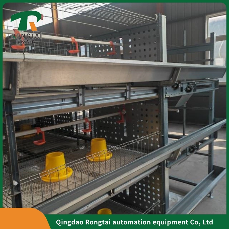 Automatic Incubator and Hatcher Poultry Equipment of Egg Layer Chicken Cage Farming Automatic