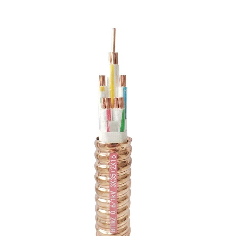 Precio mayorista ignífugo Bttrz 0.6/1kv/aluminio ignífugo de núcleo de cobre del cable blindado