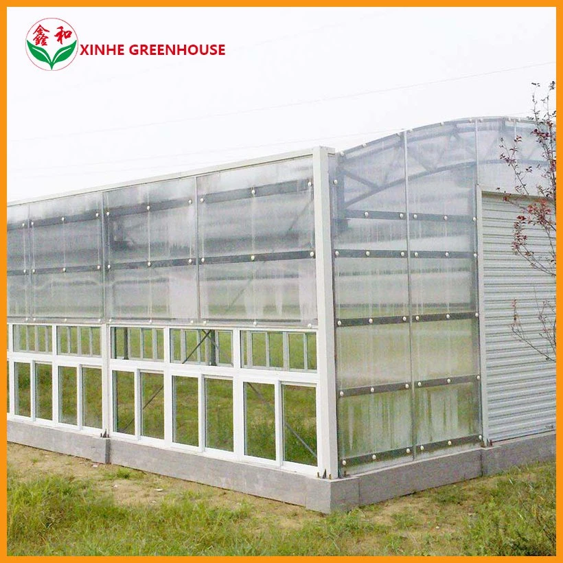 Growing Tunnel Green Polycarbonate Sheet Multispan House Greenhouse for Vegetables