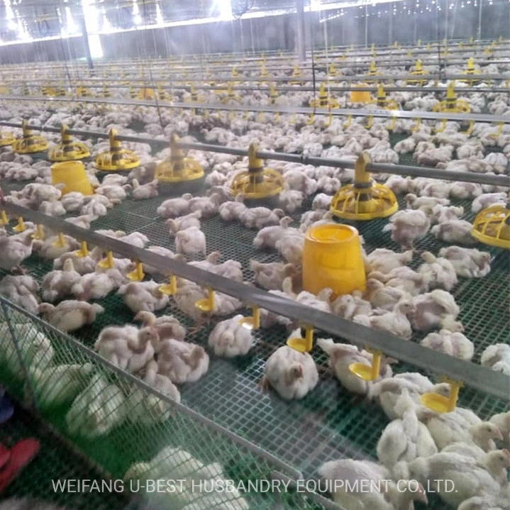 China Automatic Design Free Range Chicken Farming Equipment