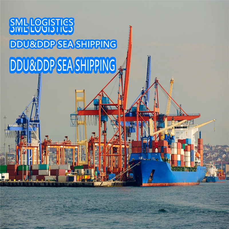 Economy Sea Freight From All Over China to Hamburg/Rotterdam/London/Le Harve/Antwepr/New York/Los Angeles/Houston/Chicago/Dubai/Jedda/Hamad/Apapa