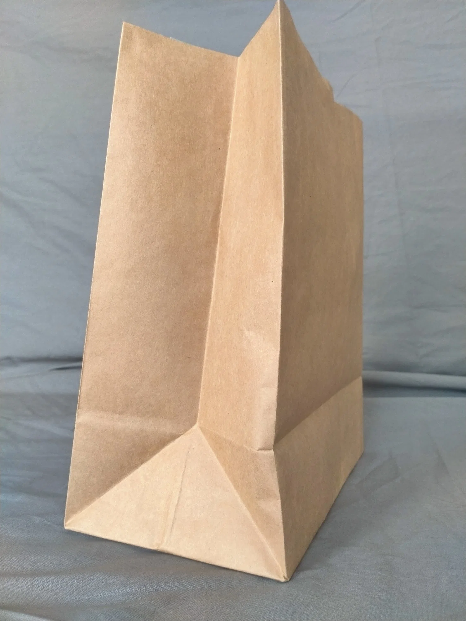 50 Lb Food Waste Disposable Compost Compostable 100% Biodegradable Brown Craft Kraft Waxed Paper Garbage Bags