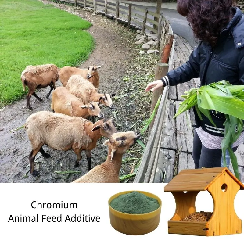 Amino Acid Chelate Chromium Salt Animal Pig Chicken Feed Additive