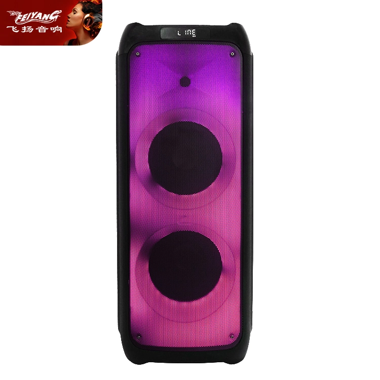 Professional Tws Double 10inch Big Power Recharged Bluetooth Loudspeaker