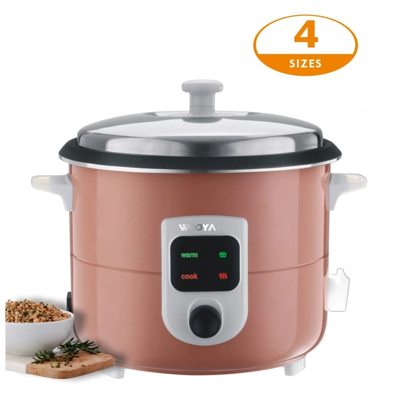 Electrical Home Appliance with Aluminium Steamer Smart Cooking Multiple Menus Dishes