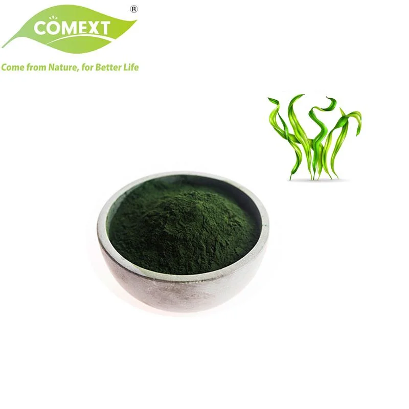 Suplemento Comext 100% Pure Natural Healthcare Green Spirulina Powder with Amostra livre